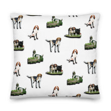 Load image into Gallery viewer, Stand2A - Treeing Walker Coonhound - 22"Premium Pillow - White