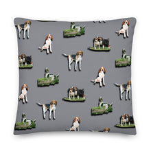 Load image into Gallery viewer, Stand2A - Treeing Walker Coonhound - 22"Premium Pillow - Grey