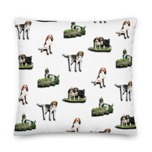 Load image into Gallery viewer, Stand2A - Treeing Walker Coonhound - 22&quot;Premium Pillow - White